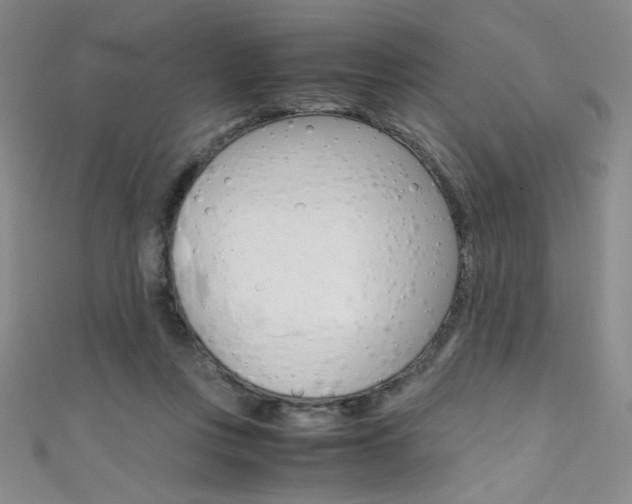 X0000111490359200907141108
