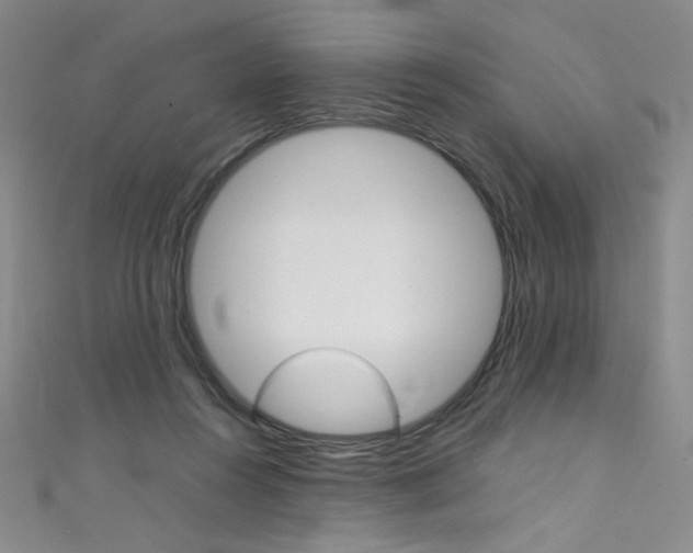 X0000111490360200907141108
