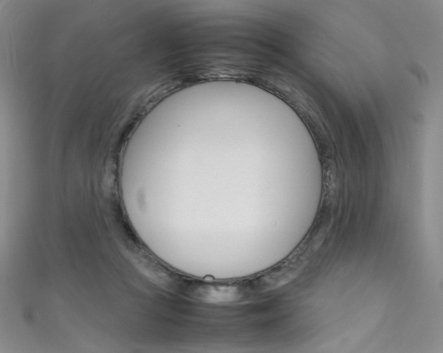 X0000111490361200907141108