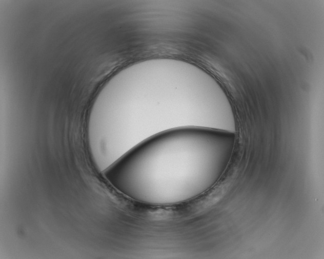 X0000111490362200907141108