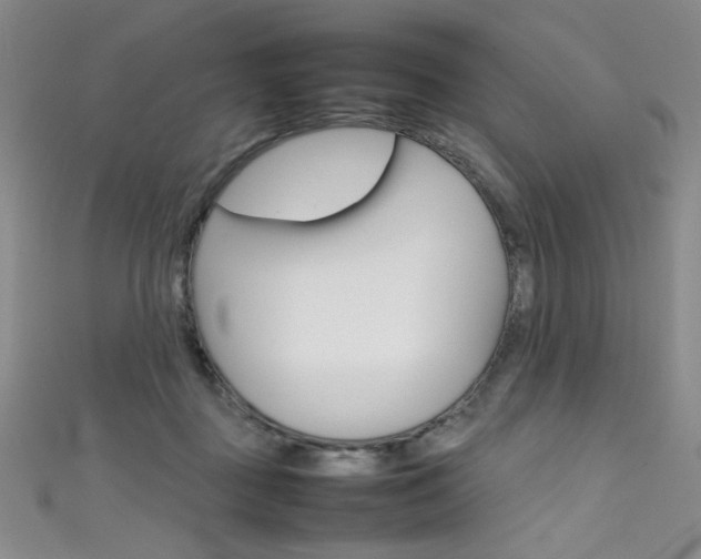 X0000111490363200907141108