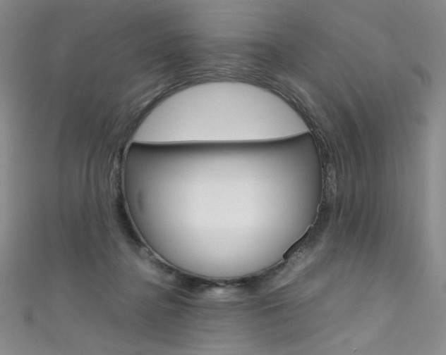 X0000111490364200907141108