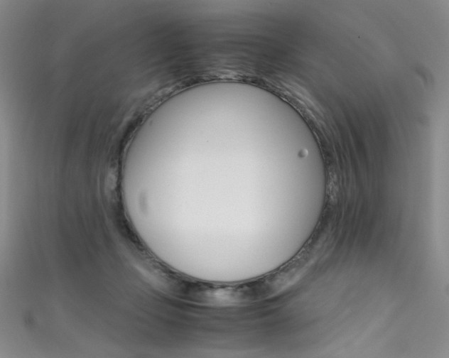 X0000111490365200907141108