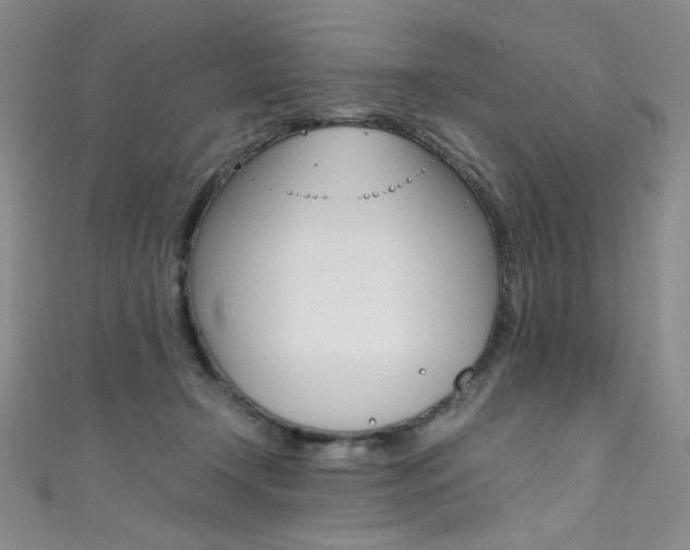 X0000111490366200907141108