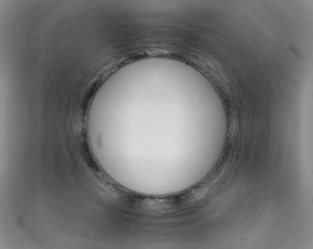 X0000111490367200907141108