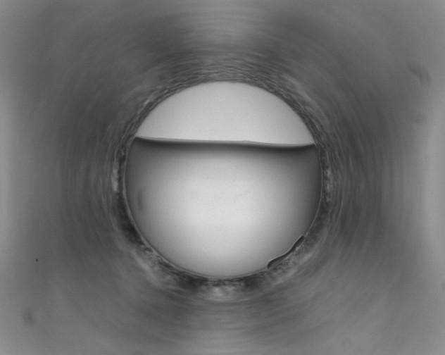 X0000111490368200907141108