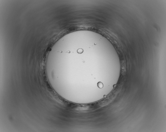 X0000111490369200907141108