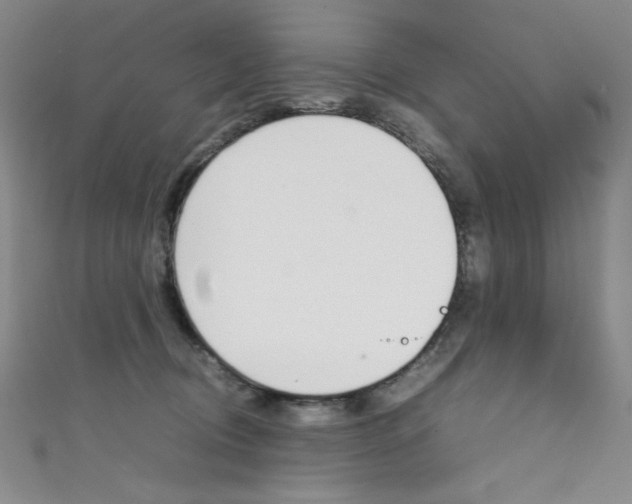 X0000111490370200907141108