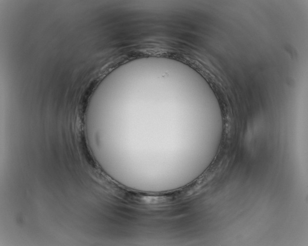 X0000111490371200907141108