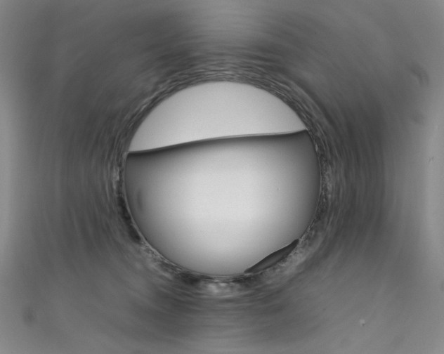 X0000111490372200907141108