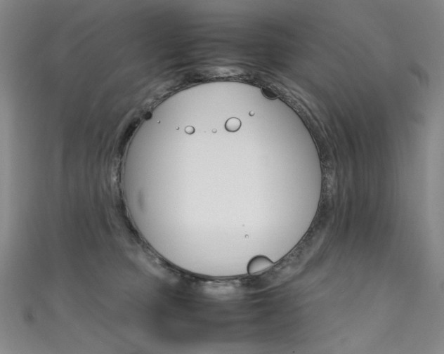 X0000111490373200907141108