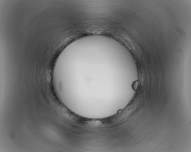 X0000111490374200907141108