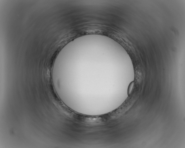 X0000111490375200907141108