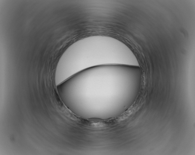 X0000111490376200907141108