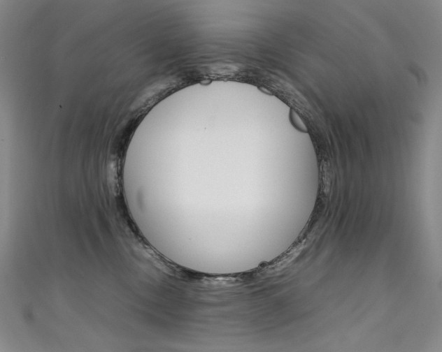 X0000111490378200907141108