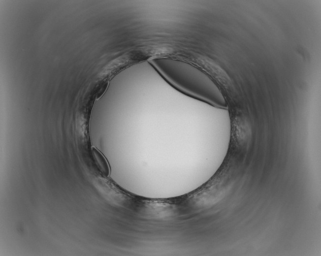 X0000111490380200907141108