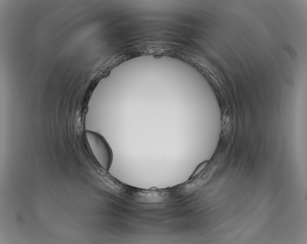 X0000111490381200907141108