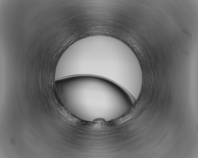 X0000111490382200907141108