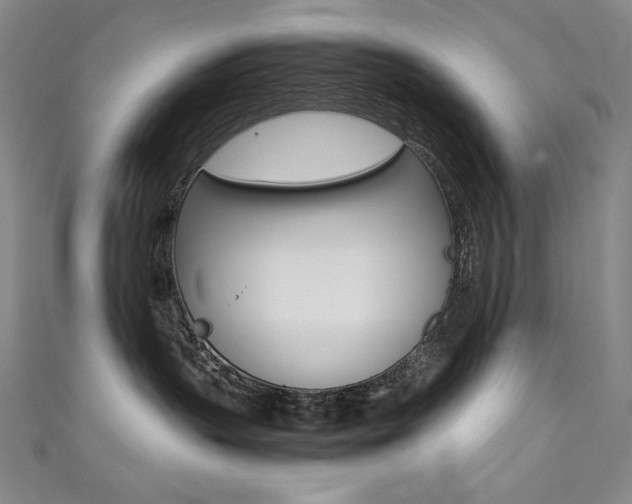 X0000111490383200907141108