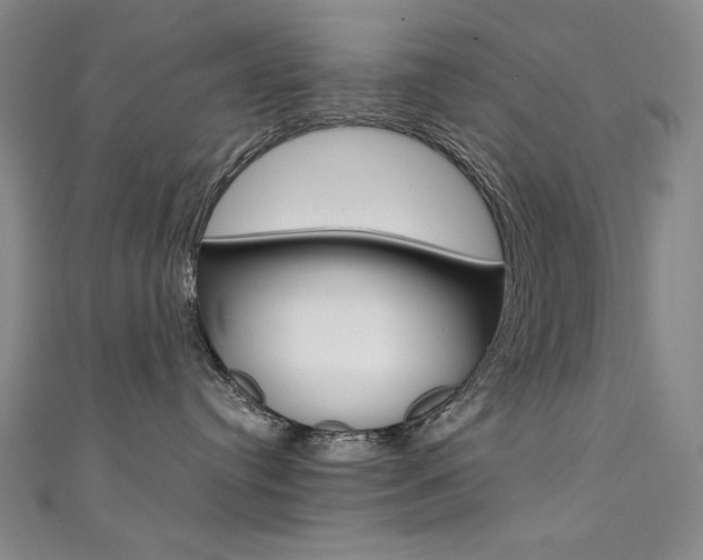 X0000111490384200907141108