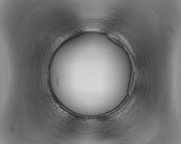 X0000111490385200907141108