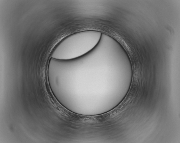 X0000111490386200907141108