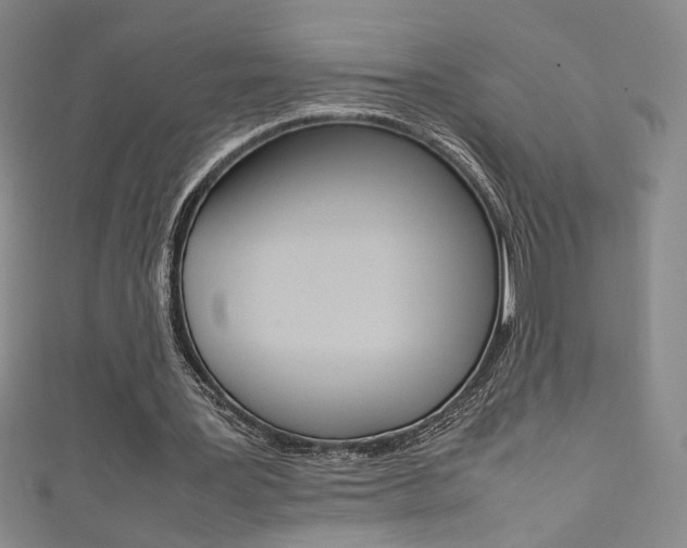 X0000111490387200907141108