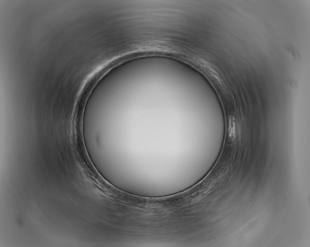 X0000111490388200907141108