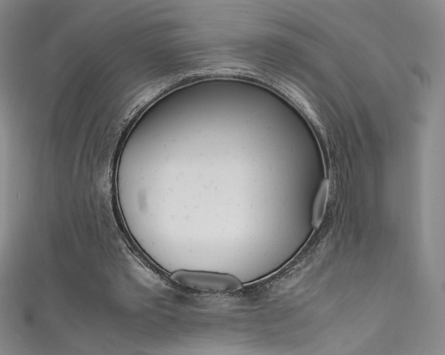 X0000111490389200907141108