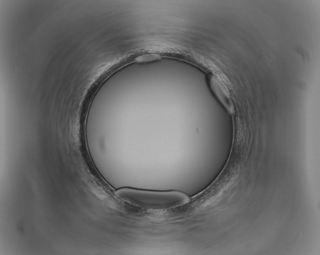 X0000111490391200907141108