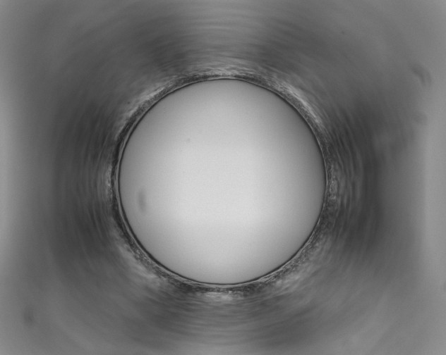 X0000111490394200907141108