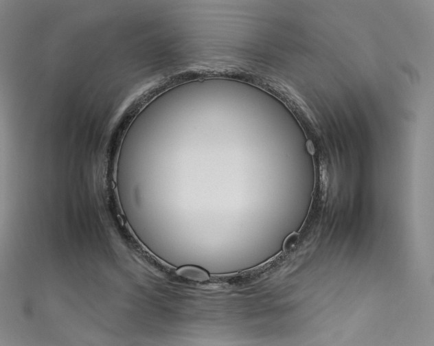 X0000111490396200907141108