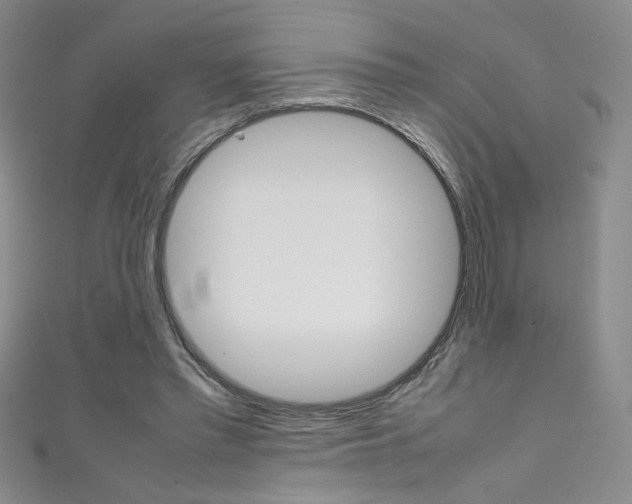 X0000111490397200907141108