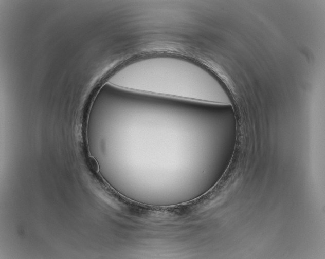 X0000111490399200907141108