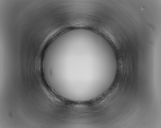X0000111490400200907141108
