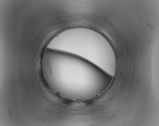 X0000111490403200907141108