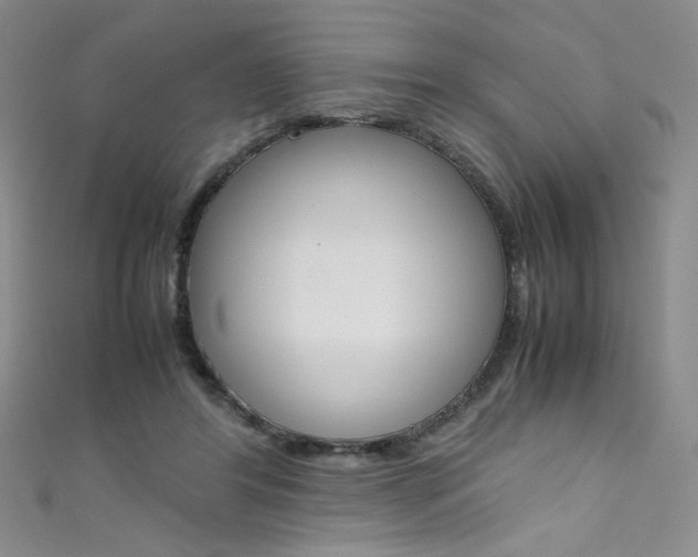 X0000111490404200907141107