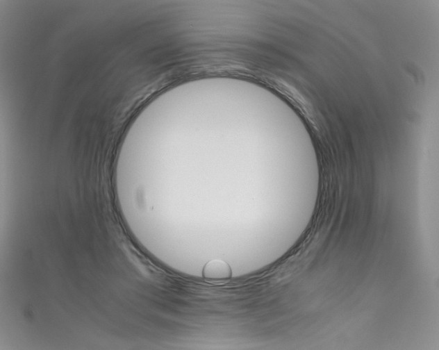 X0000111490405200907141107