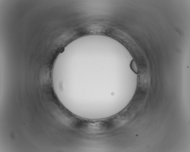 X0000111490411200907141107
