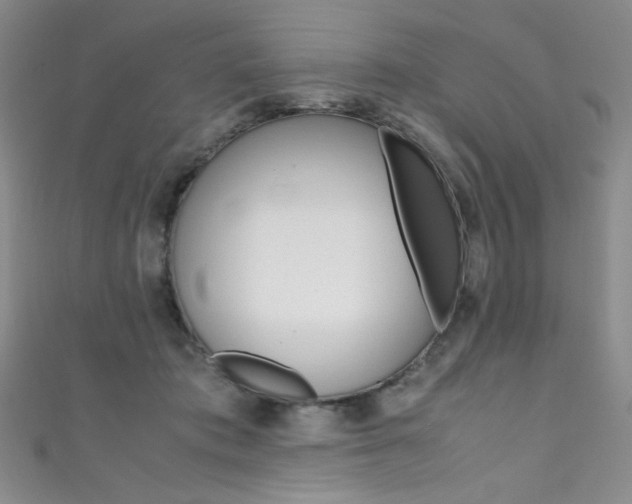 X0000111490413200907141107