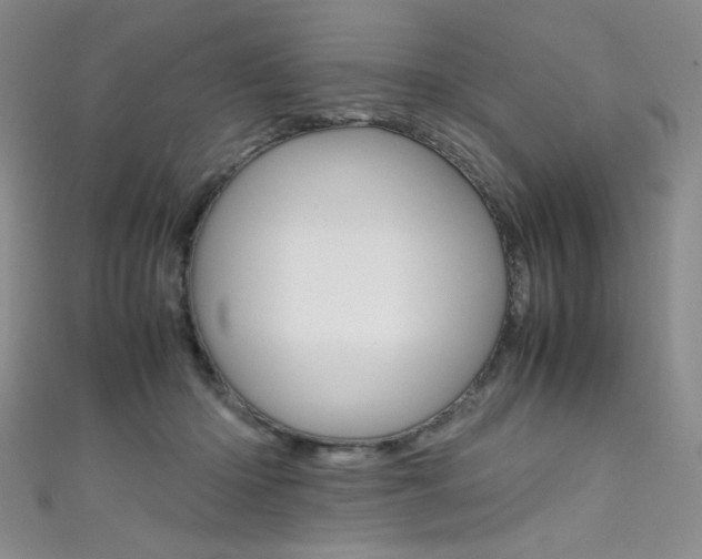 X0000111490414200907141107