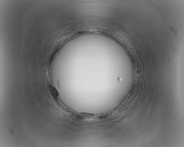 X0000111490415200907141107