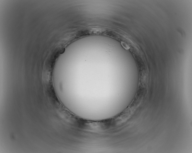 X0000111490417200907141107