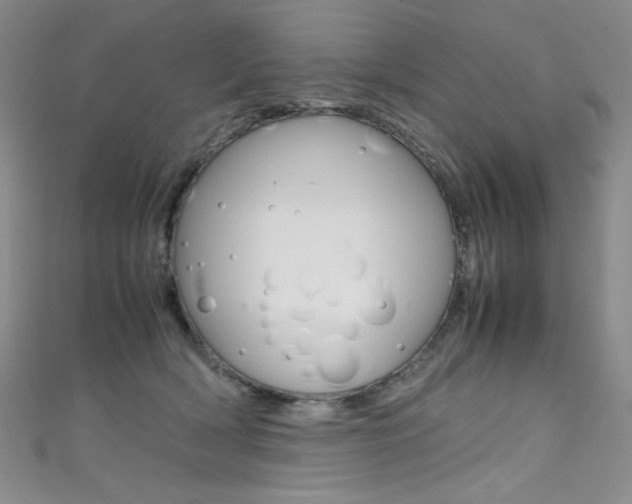 X0000111490418200907141107
