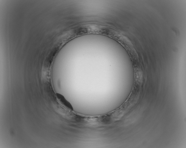 X0000111490419200907141107