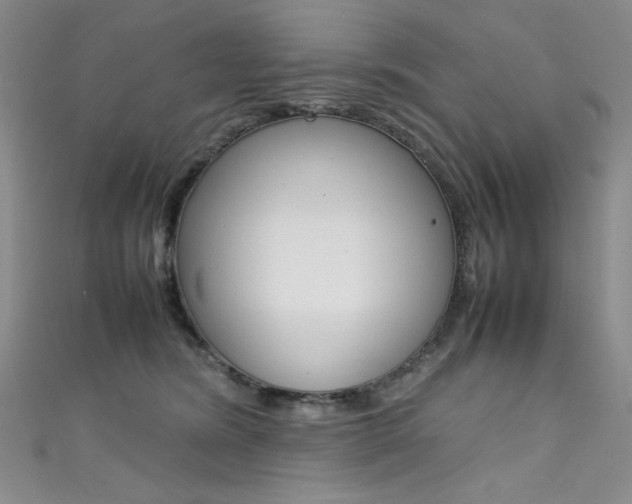 X0000111490420200907141107