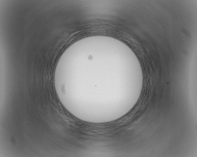 X0000111490421200907141107