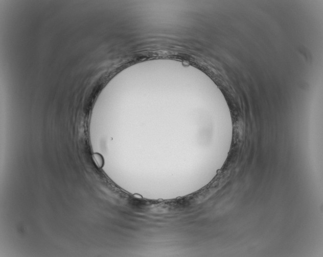 X0000111490423200907141107