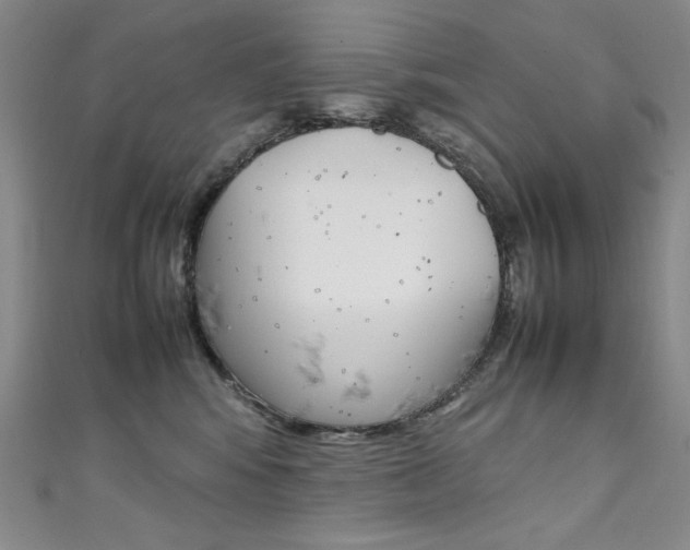 X0000111490424200907141107