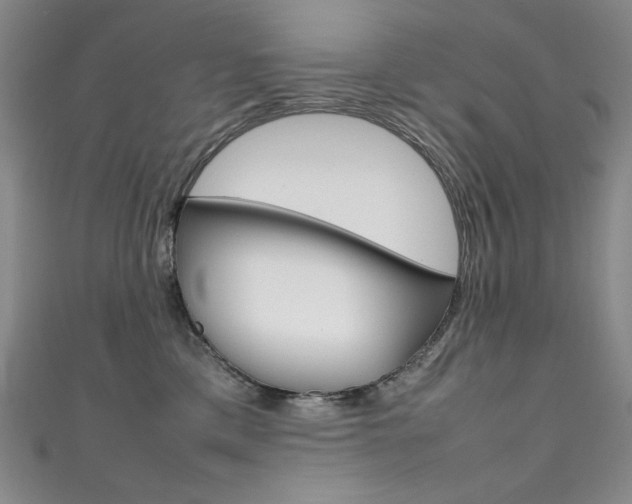 X0000111490425200907141107